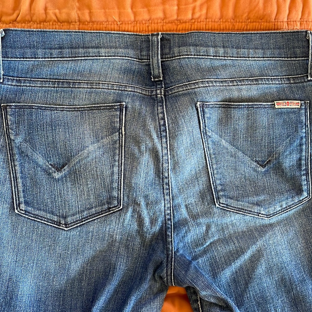 Amazing Hudson Skinny Jeans 30